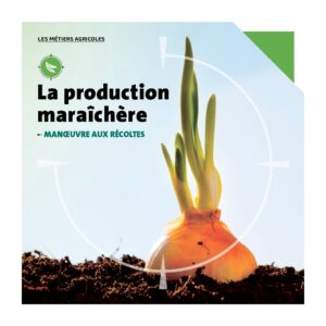 fiche_metier_production_maraichere-300x300